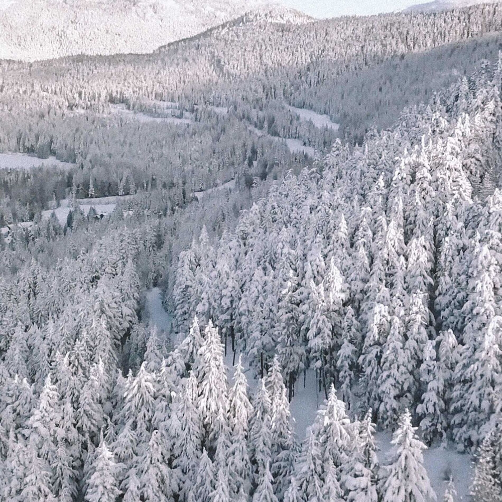Album cover of Winter Dreams (feat. Stony)