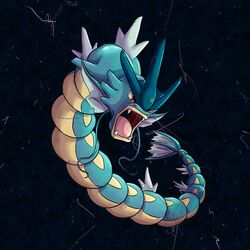 Cover of Gyarados