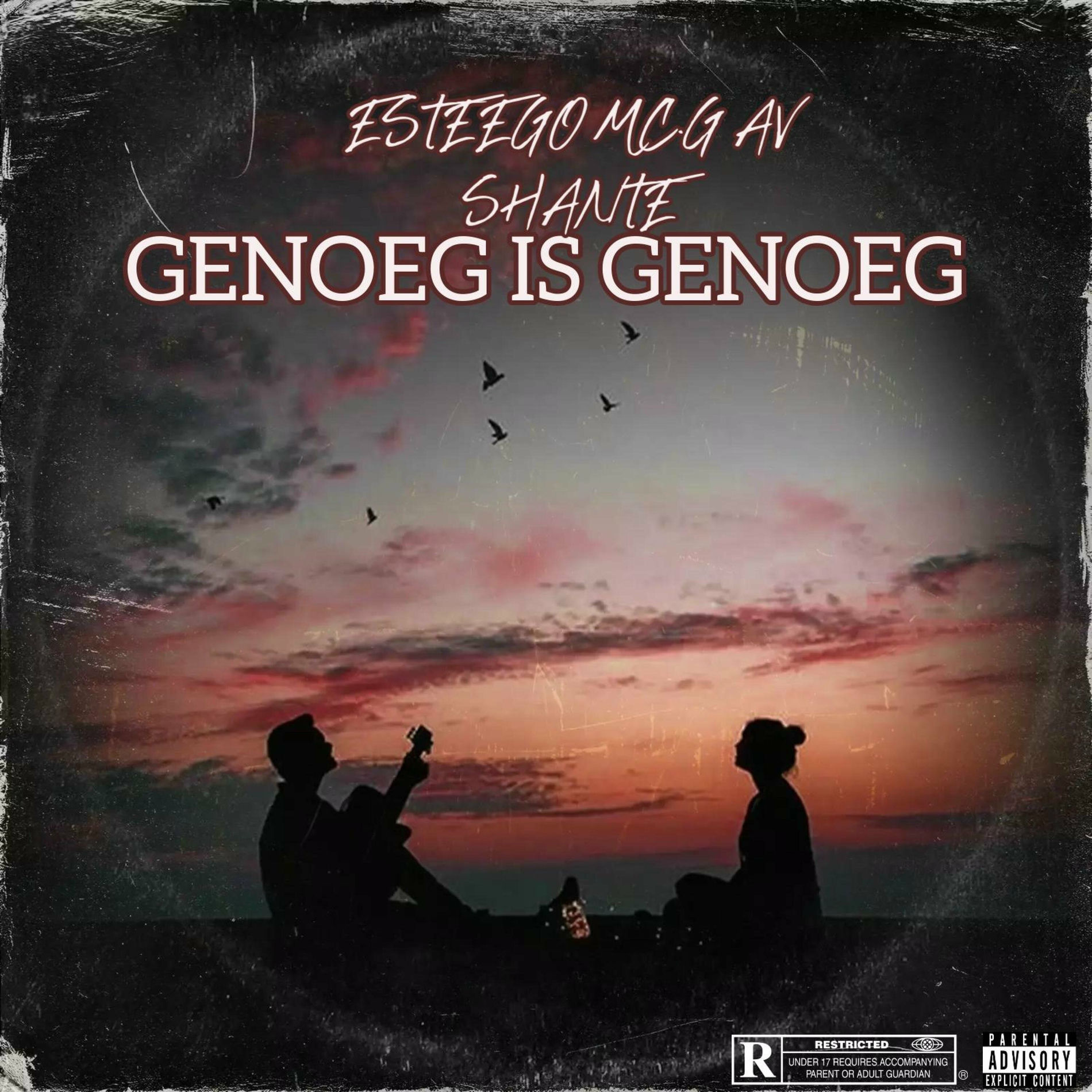 Album cover of Genoeg is Genoeg (feat. Mc.G, AV & Shante)