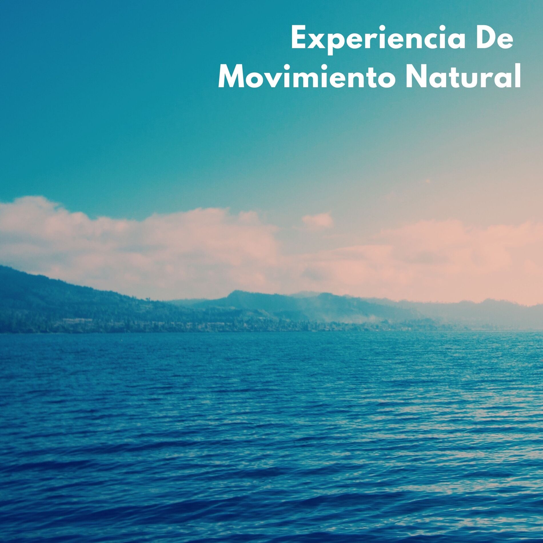 Album cover of Experiencia De Movimiento Natural