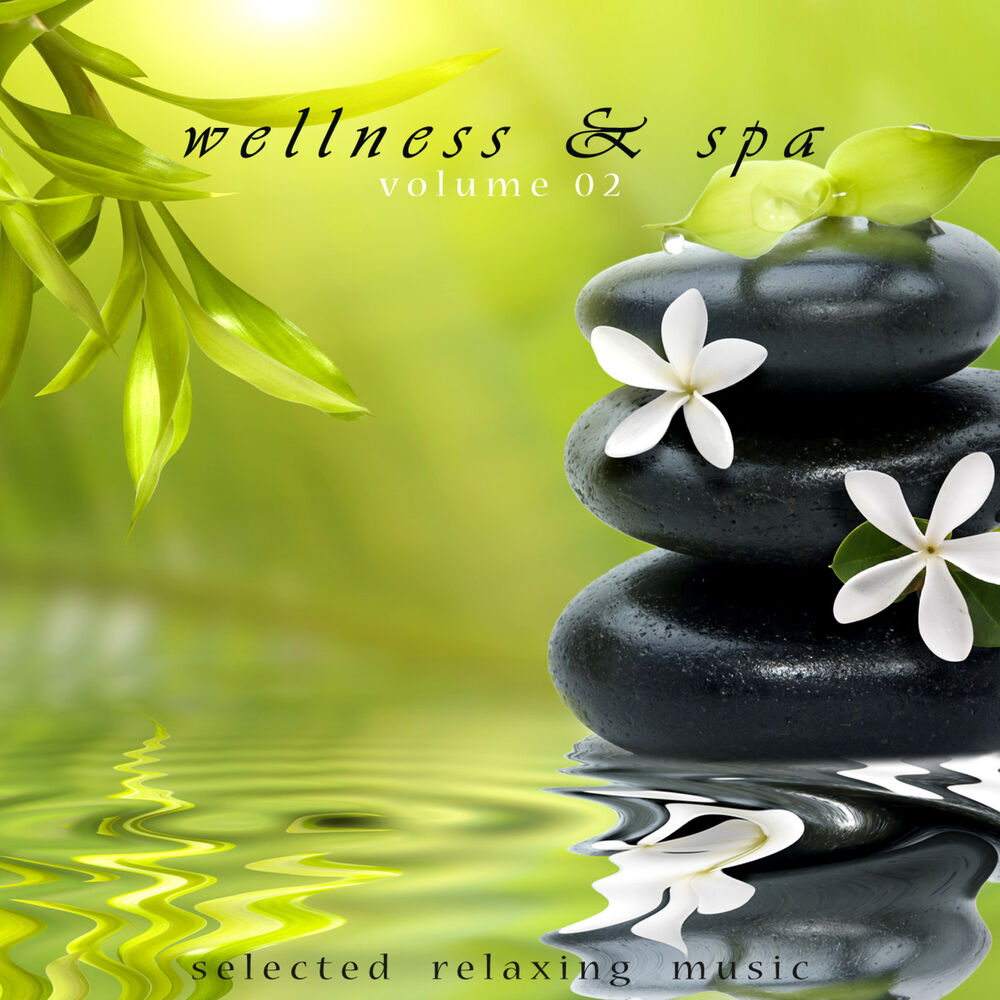 Picture of Wellness & Spa Volume 2