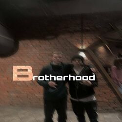 Cover of Brotherhood