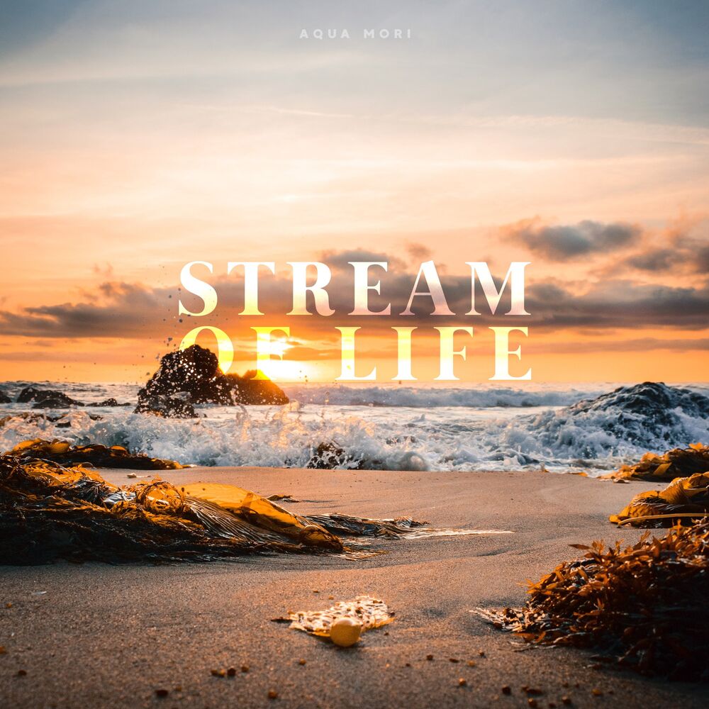 Picture of Stream Of Life