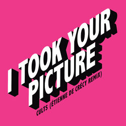 Cover of I Took Your Picture (Étienne de Crécy Remix)