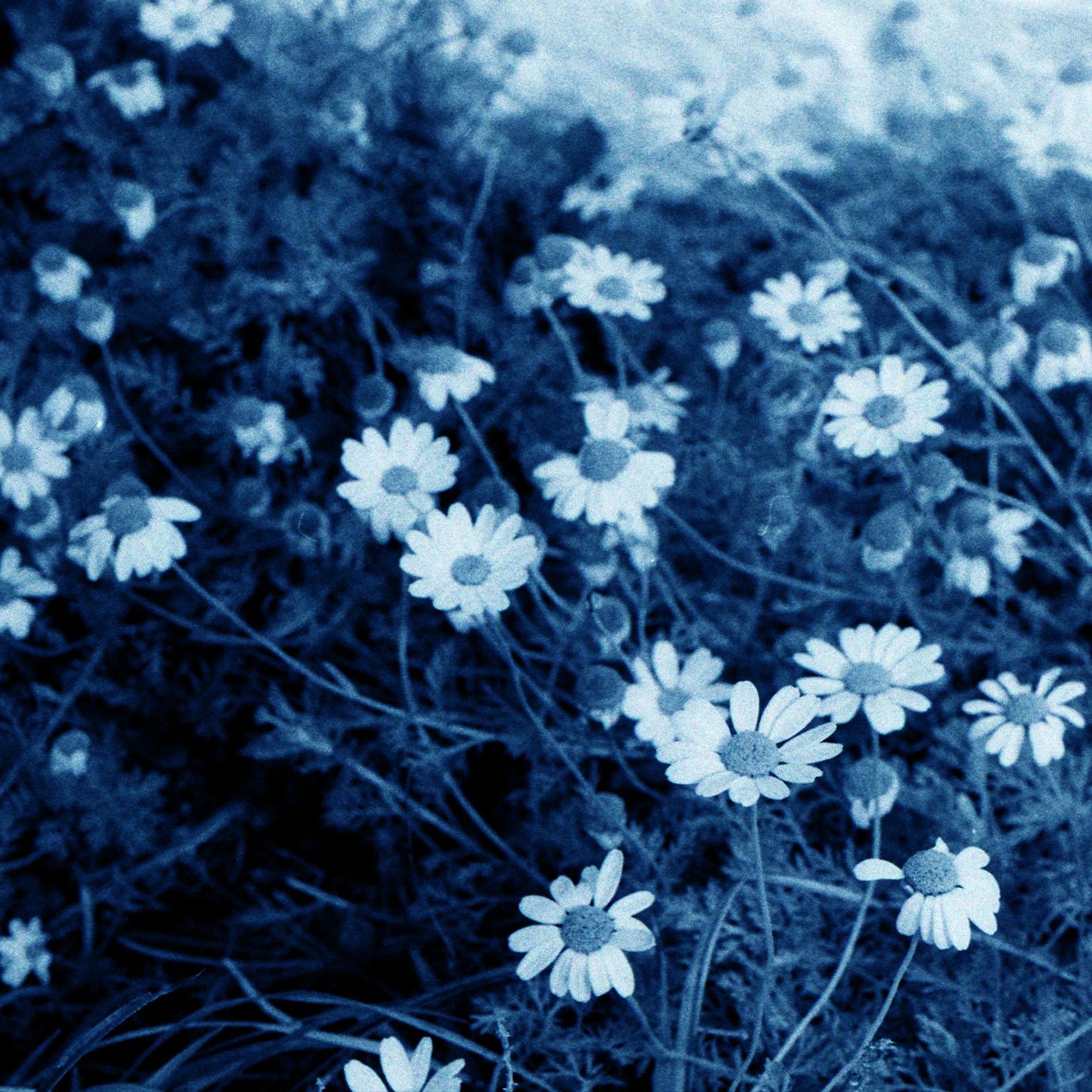Album cover of Spring