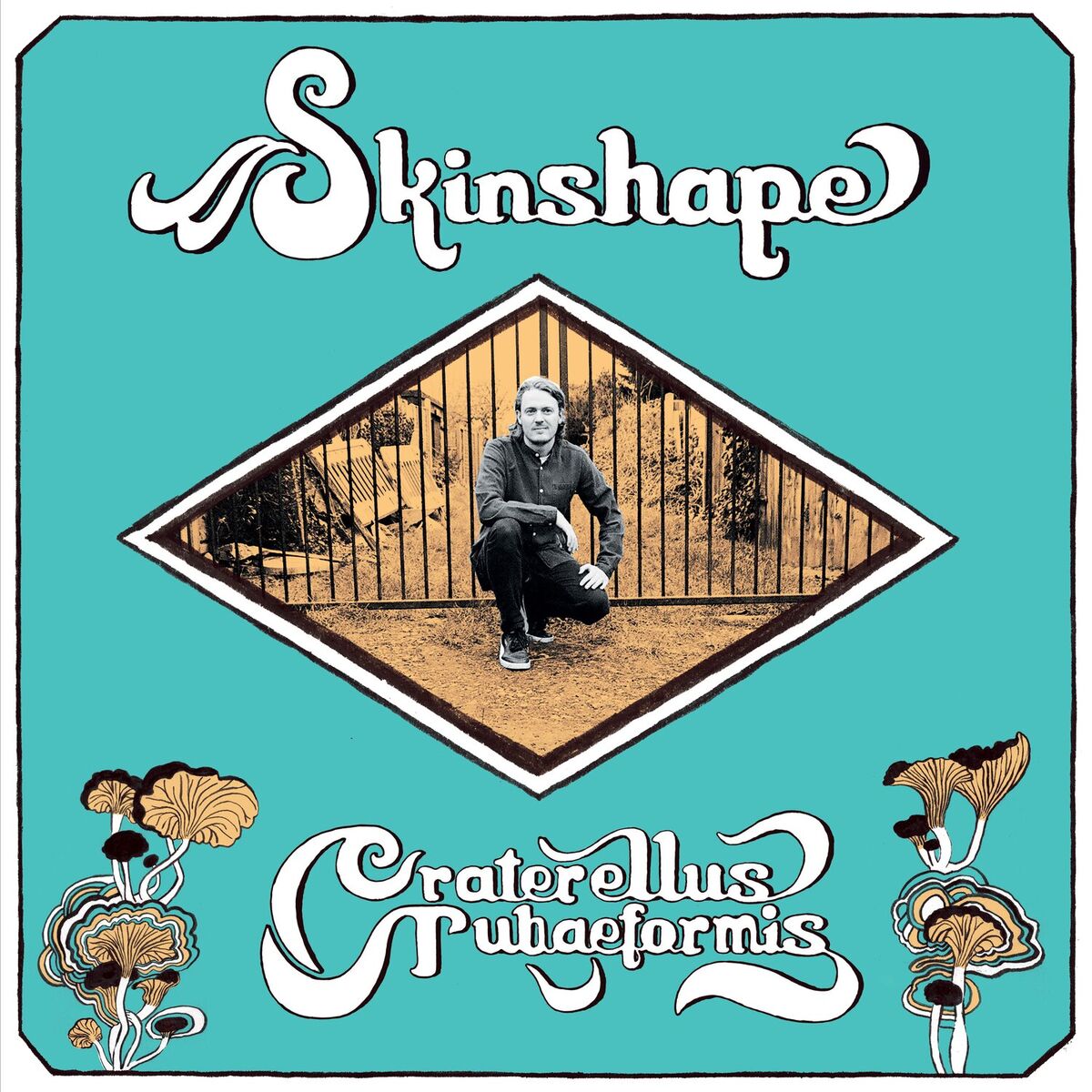 Album cover of The Longest Shadow