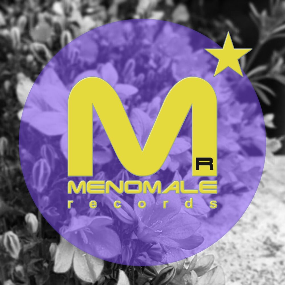 Picture of Menostar, Vol. 45