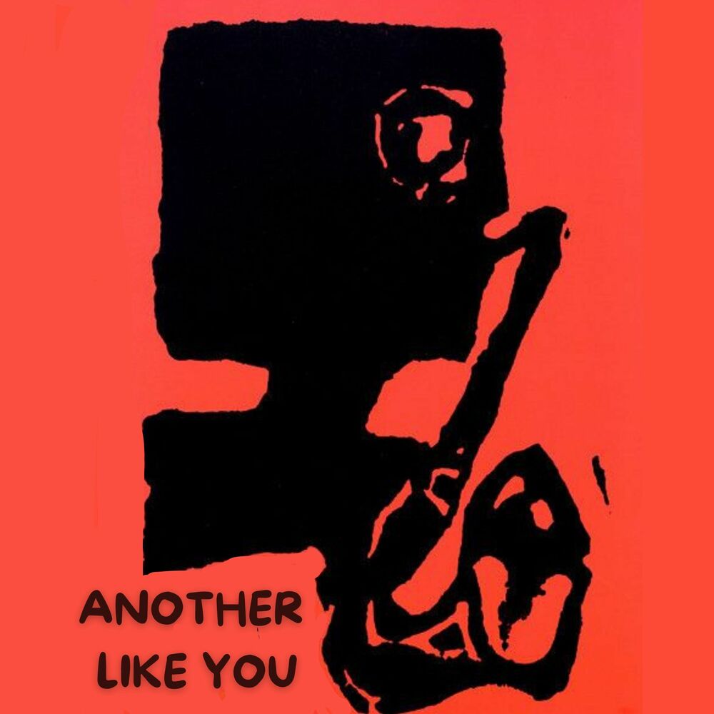 Picture of Another Like You