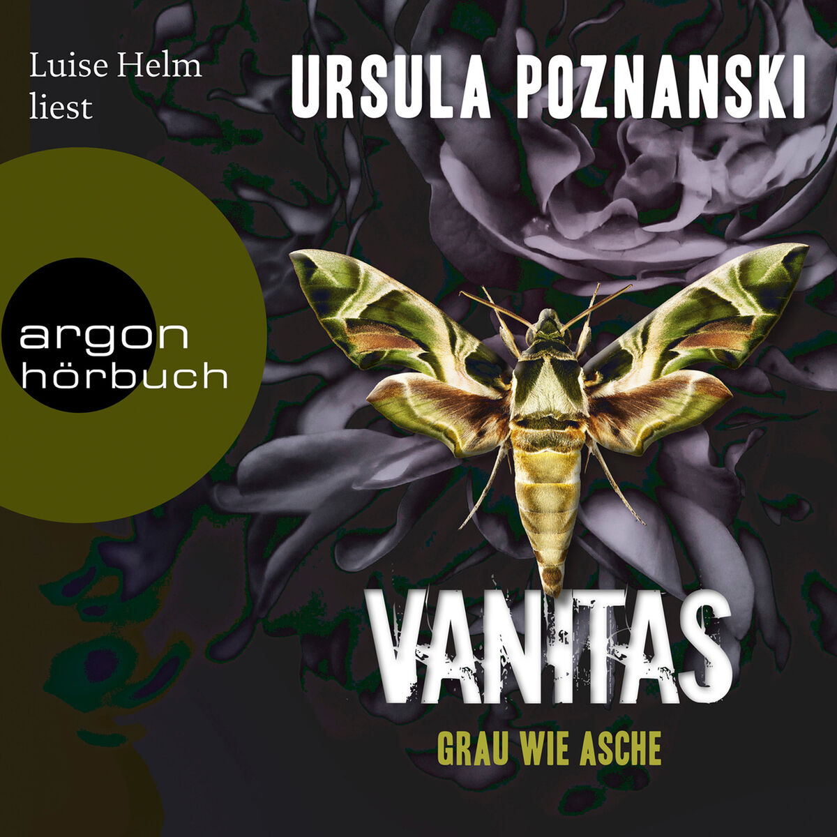 Album cover of Grau wie Asche - Vanitas, Band 2 (Gekürzte Lesung)