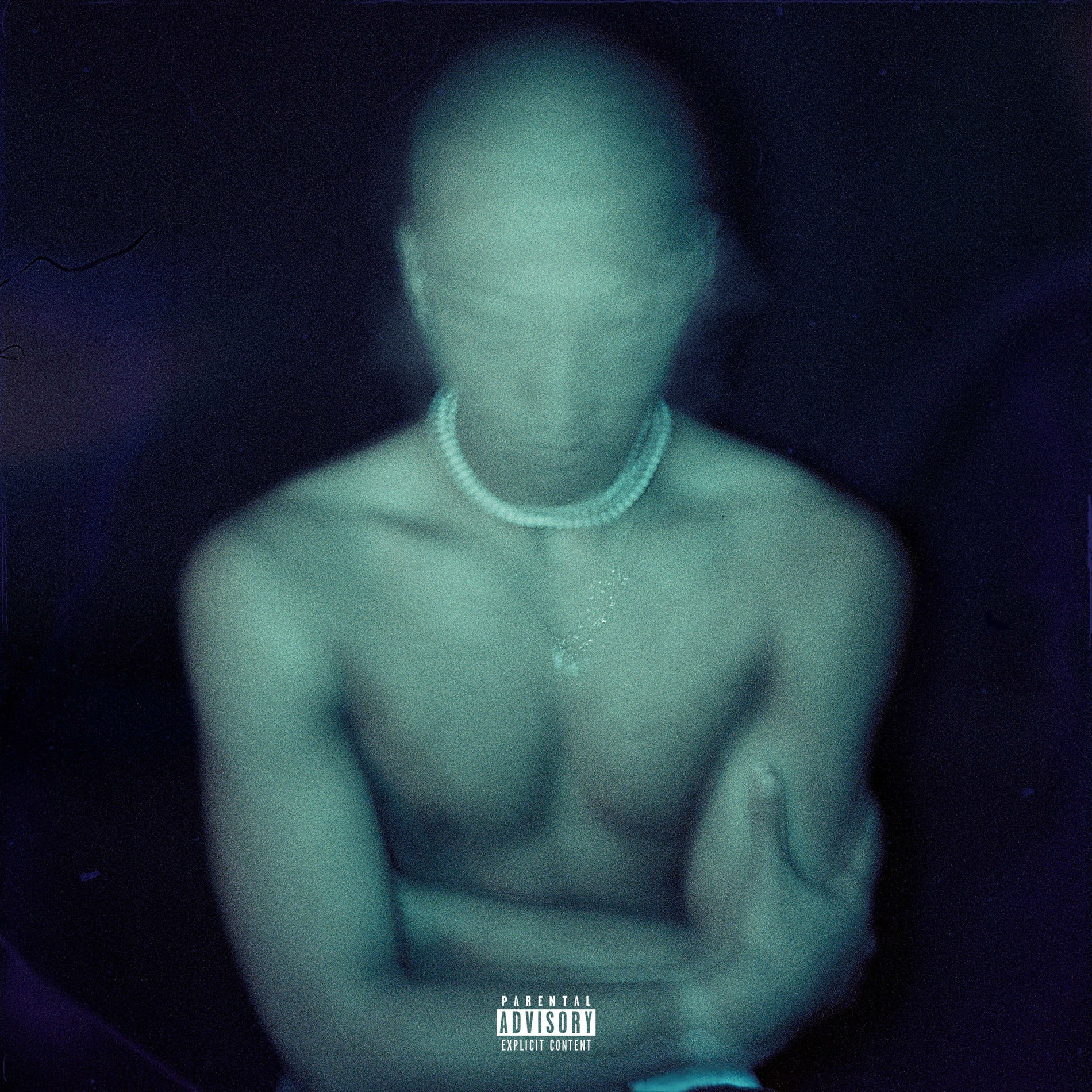 Album cover of Salamander
