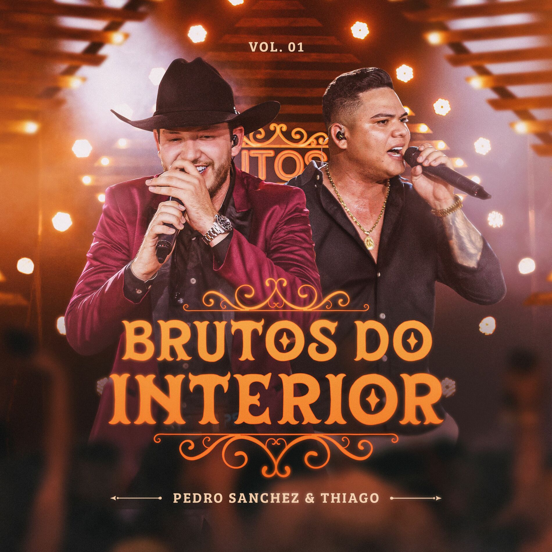 Album cover of Modão e Pingaiada