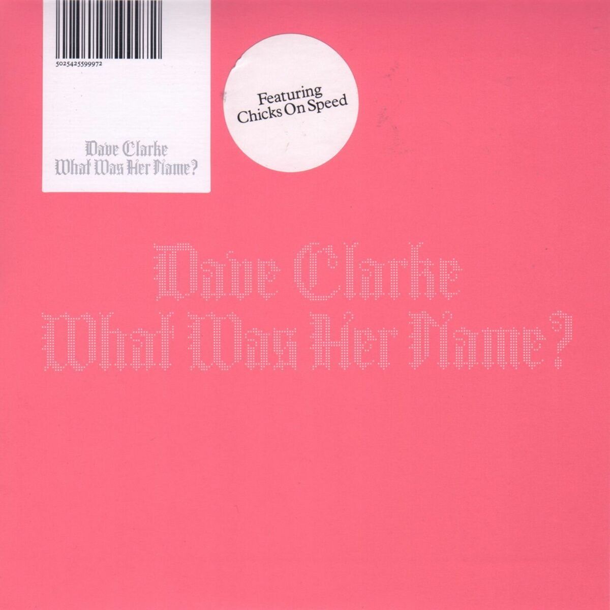 Album cover of What Was Her Name (feat. Chicks on Speed)