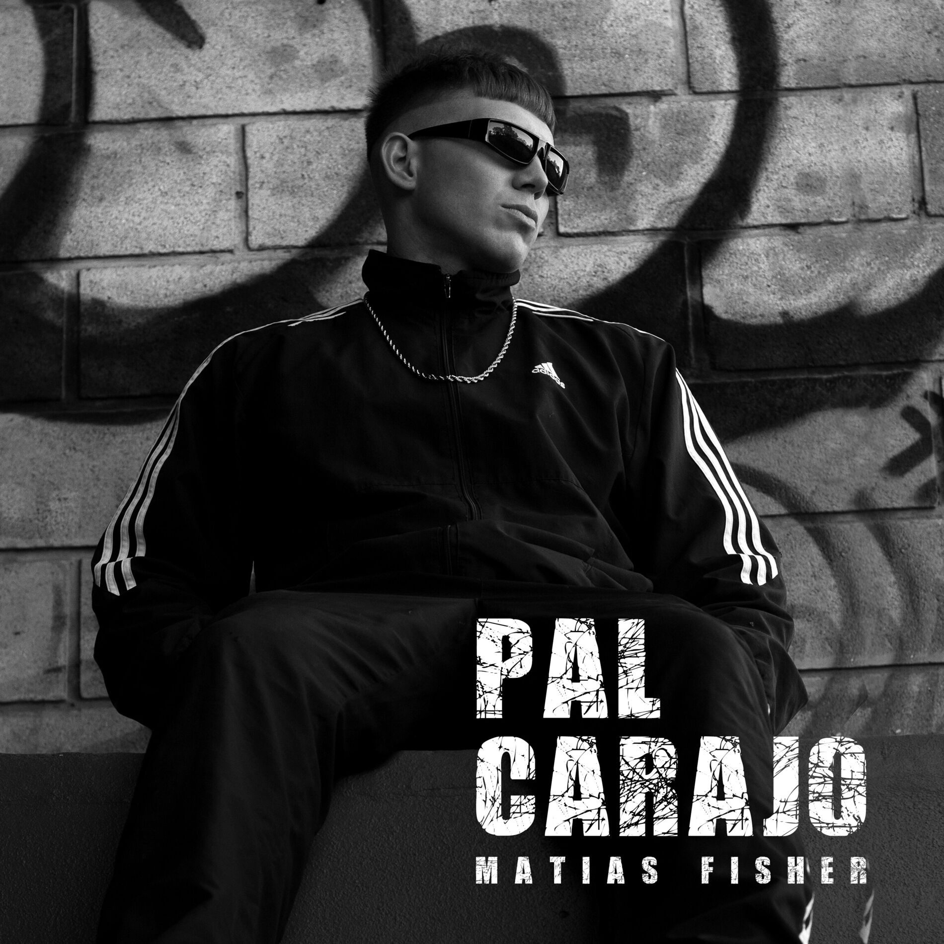 Album cover of Pal Carajo