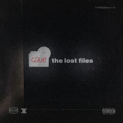 Cover of THE LOST FILES: CAUTY