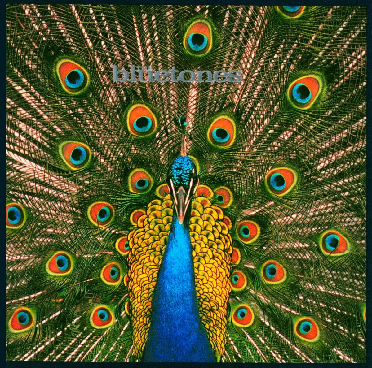 Album cover of Talking To Clarry