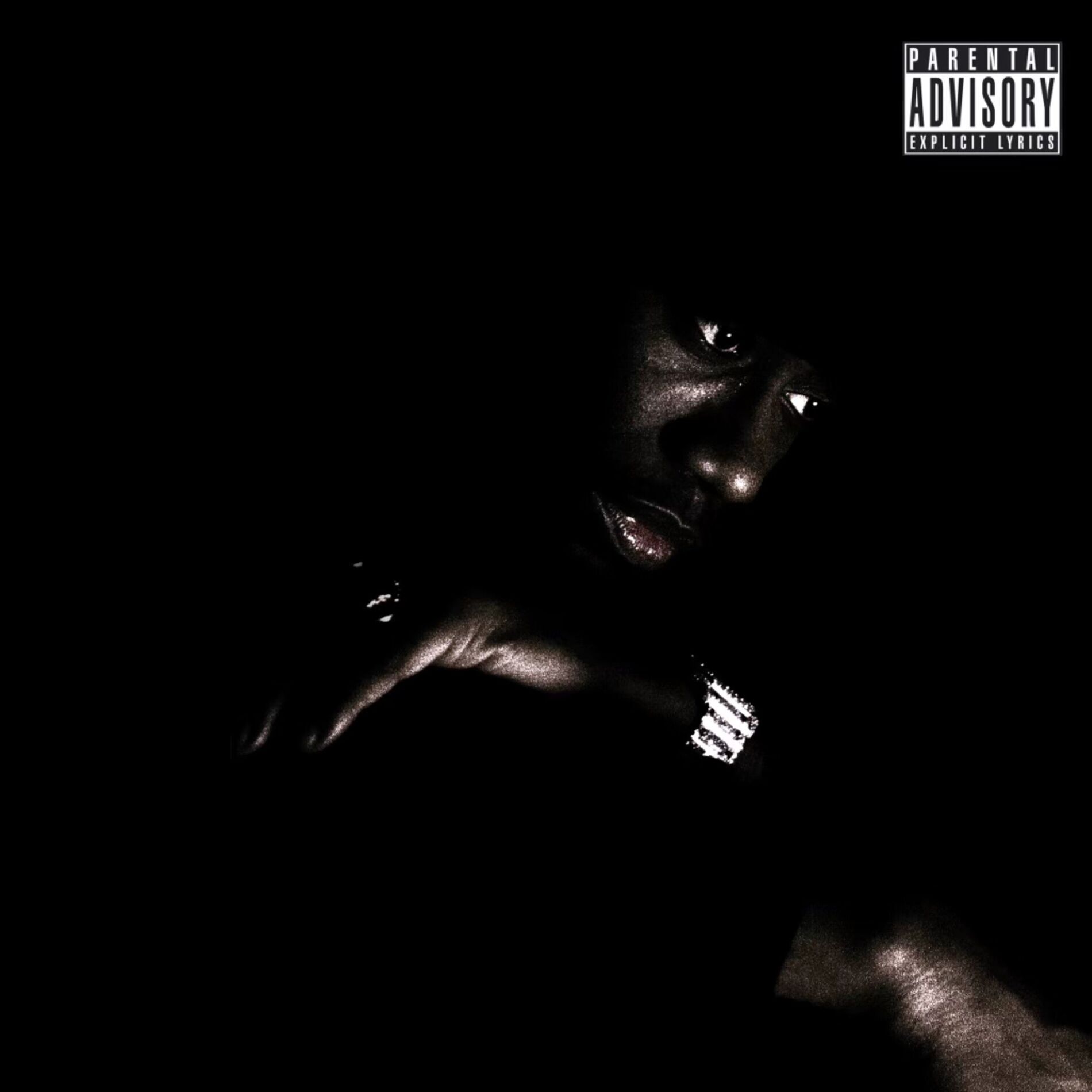 Album cover of HOTTEST IN THE ROOM