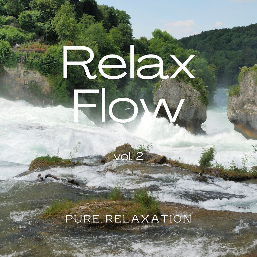 Picture of 2022 Relax Flow Vol. 2 (feat. Relajación océano y olas, Nature Is Calling & La Naturaleza Del Sueño)