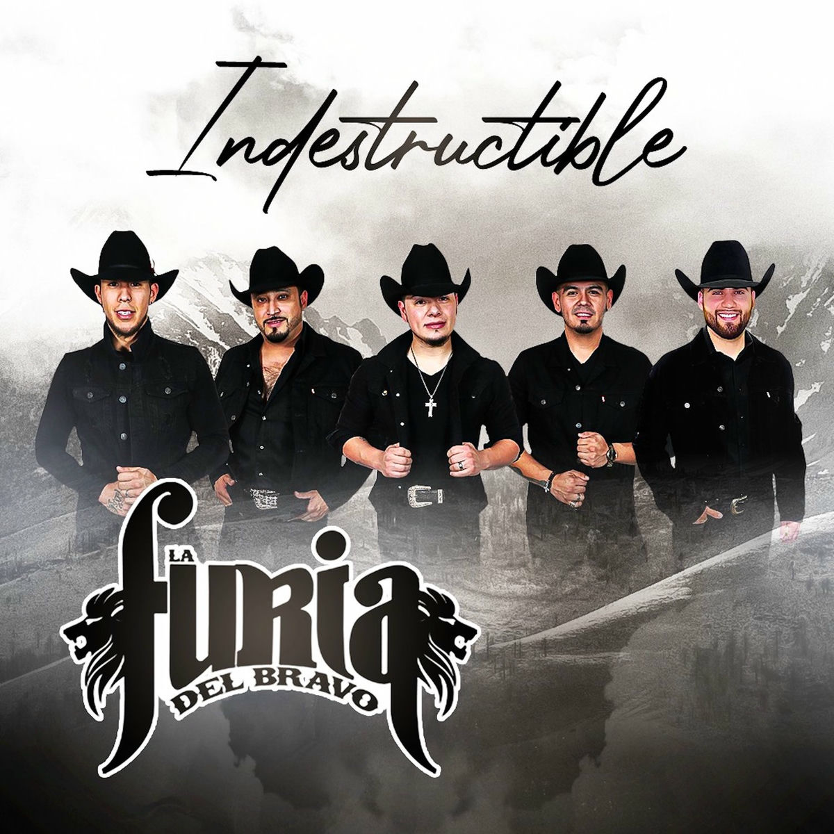 Album cover of Indestructible