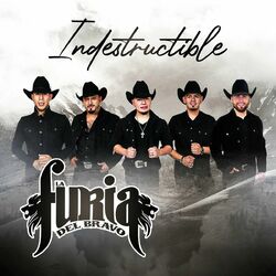 Cover of Indestructible