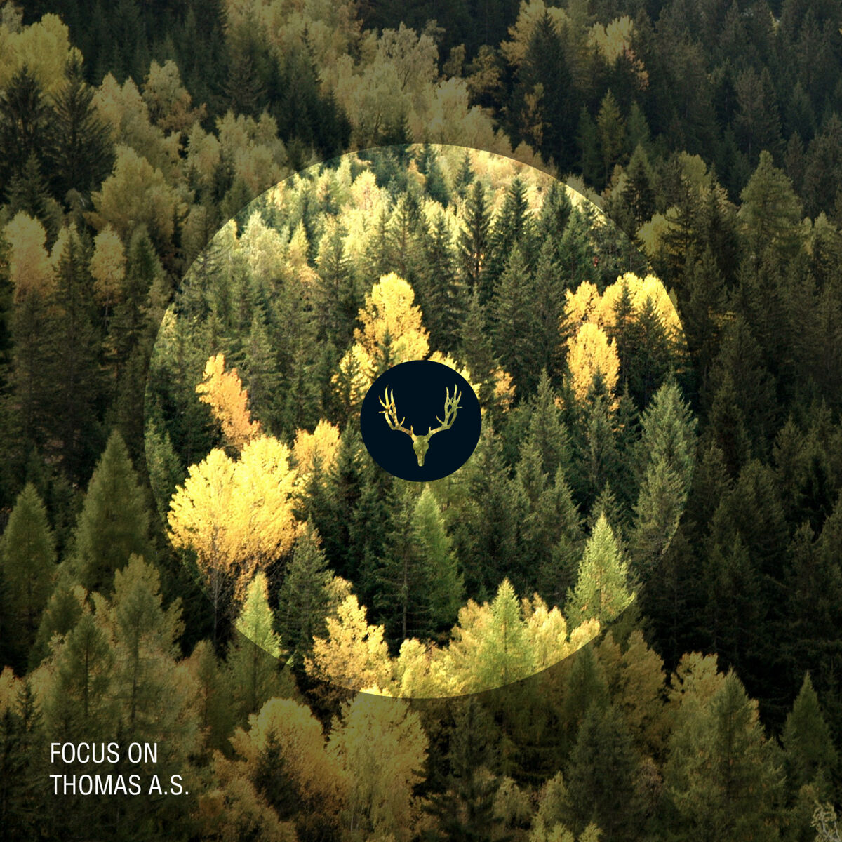 Album cover of Focus on Thomas A.S.