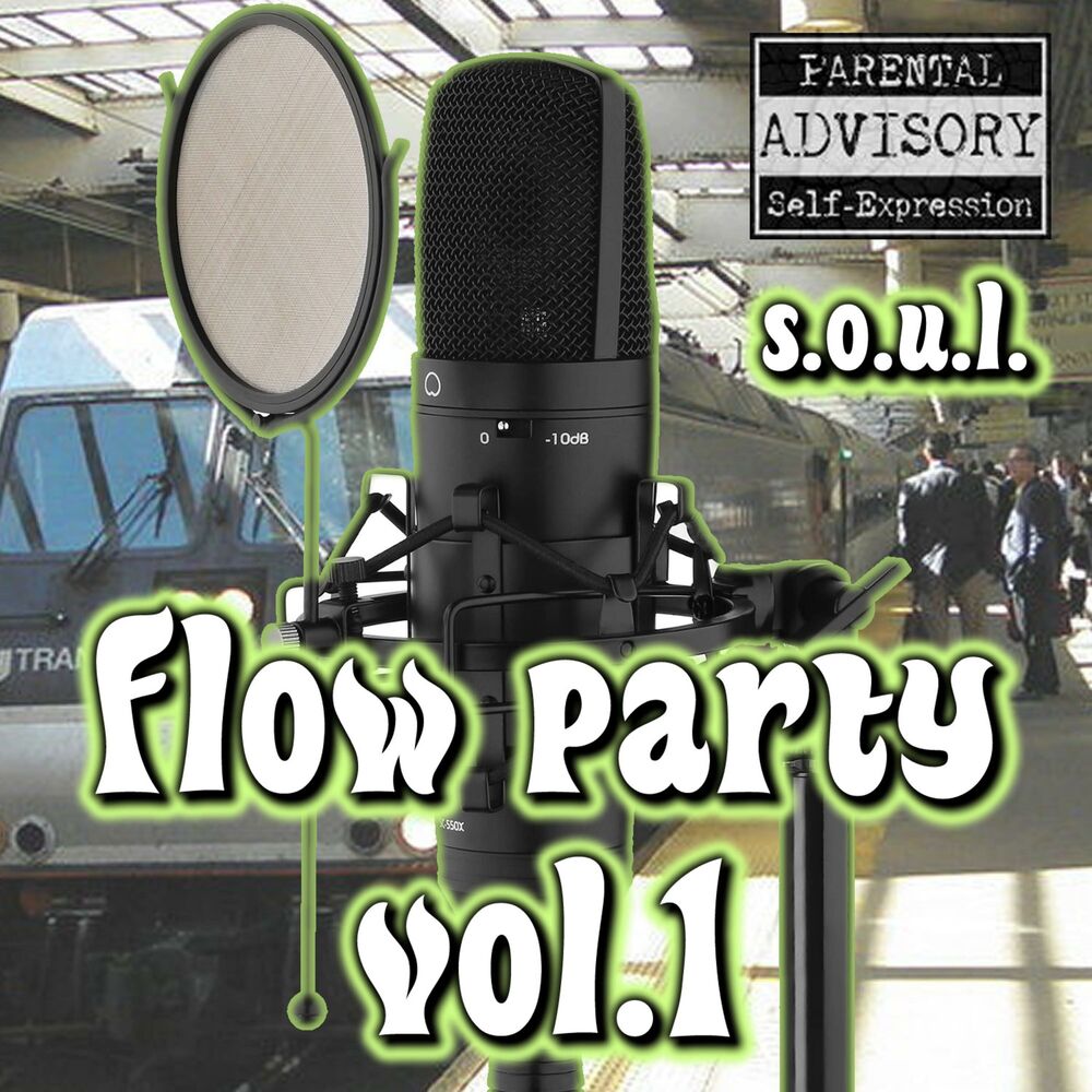 Picture of Flow Party, Vol. 1