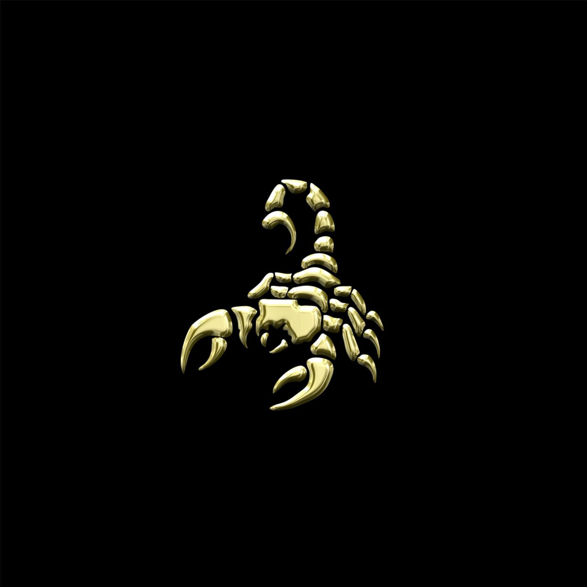 Album cover of OVELHA NEGRA