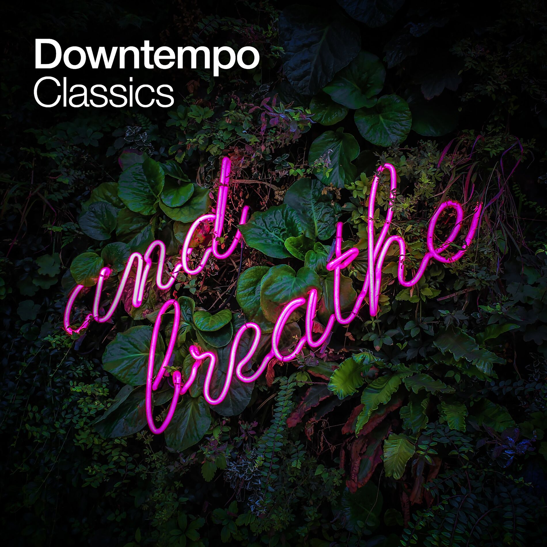 Album cover of Downtempo Classics