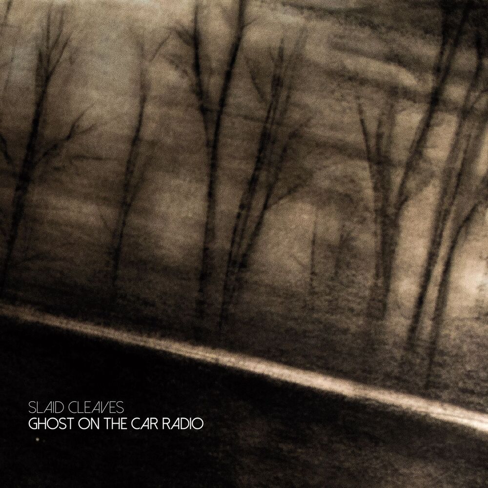Picture of Ghost on the Car Radio