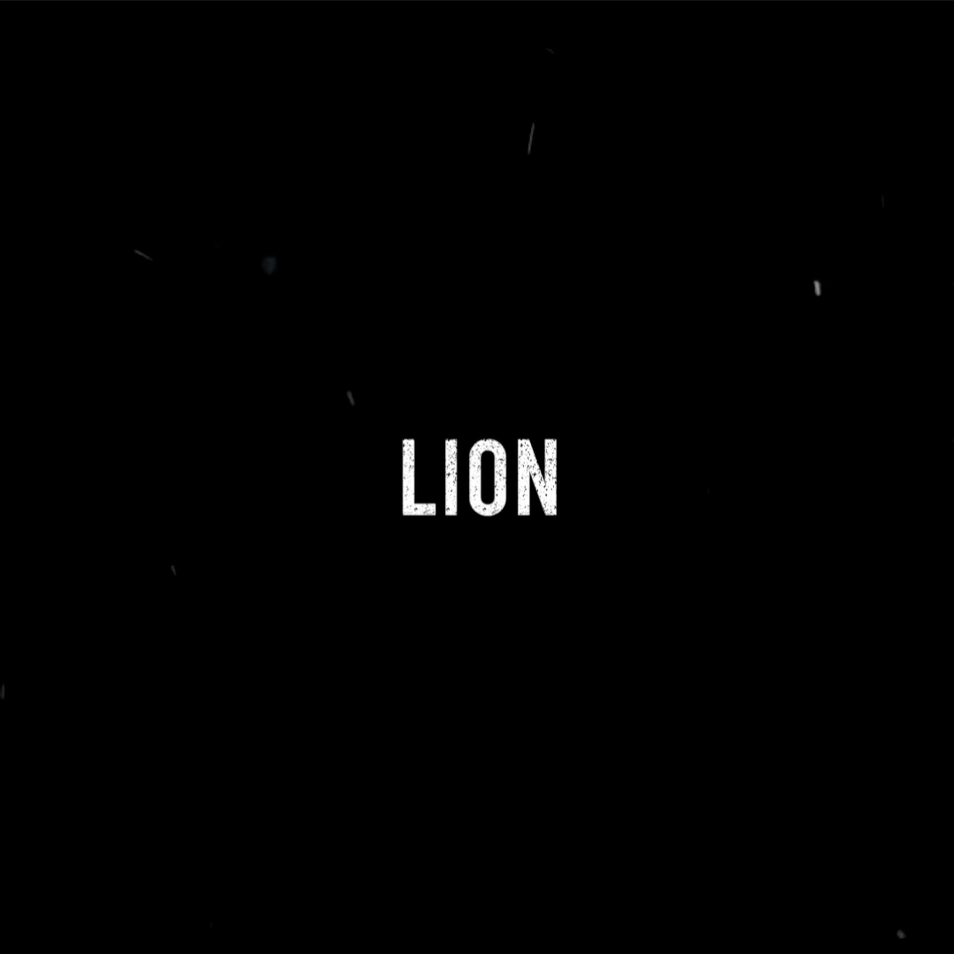 Album cover of Lion