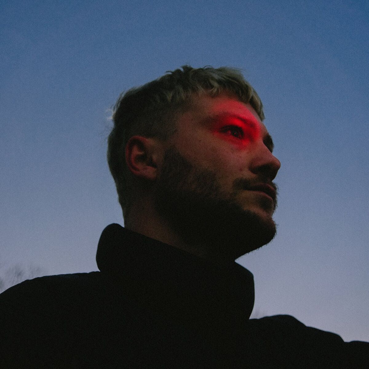 Album cover of Geister bei Tageslicht