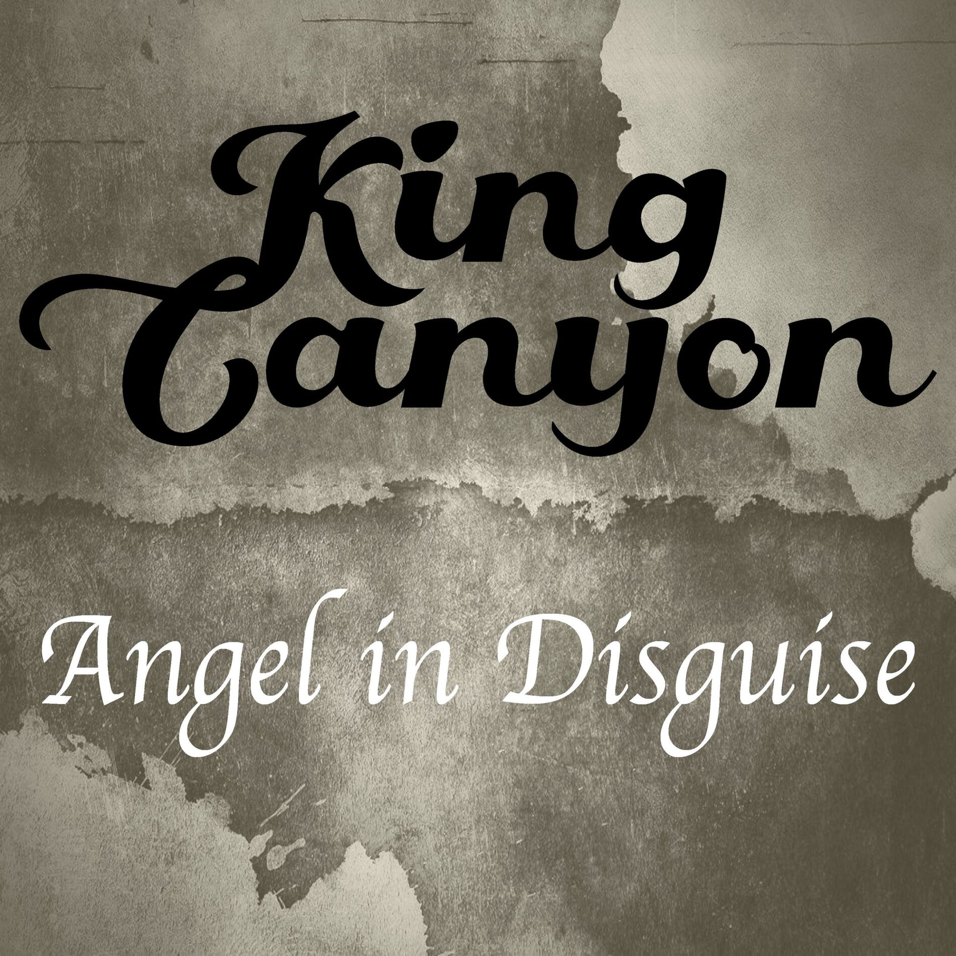 Album cover of Angel In Disguise