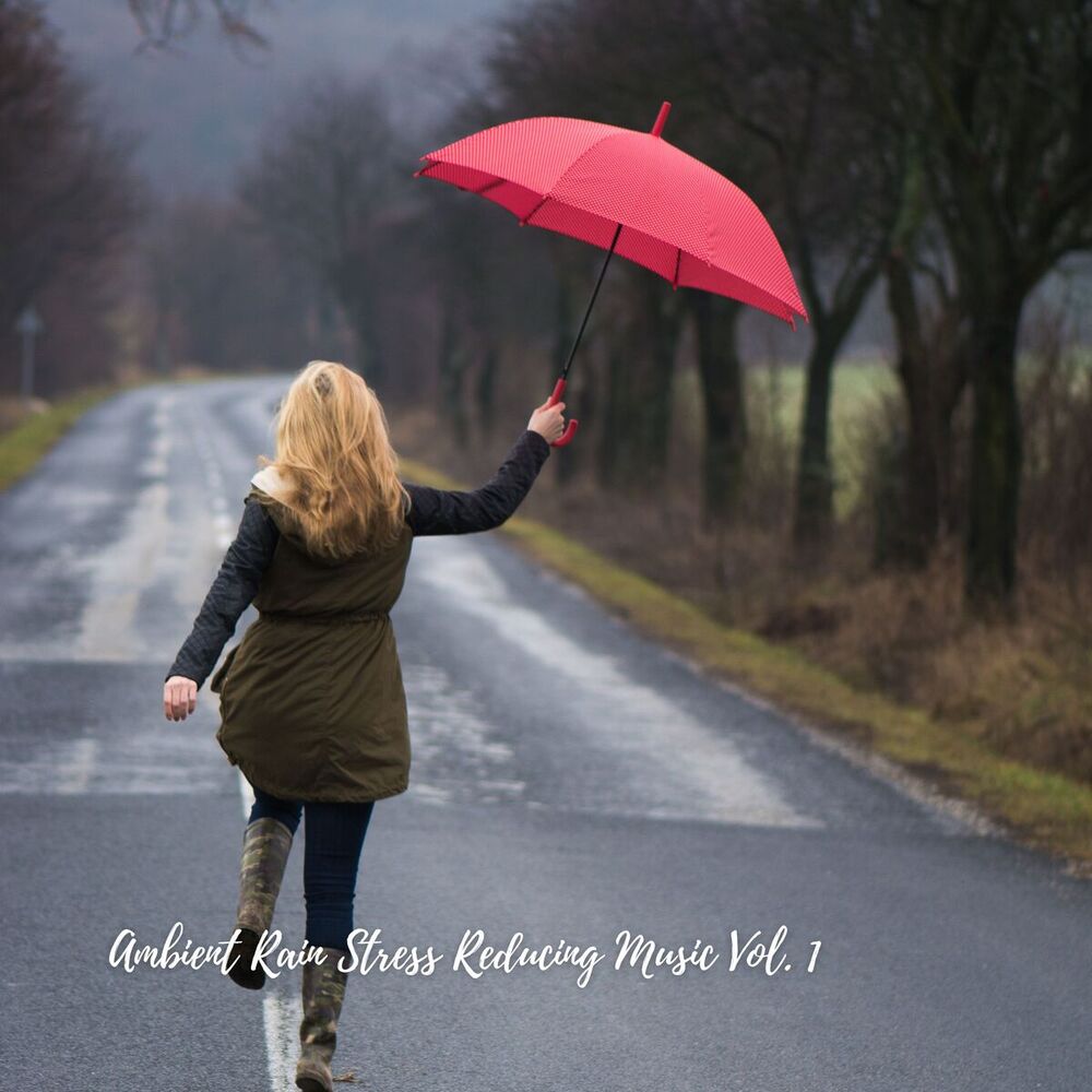 Picture of Ambient Rain Stress Reducing Music Vol. 1
