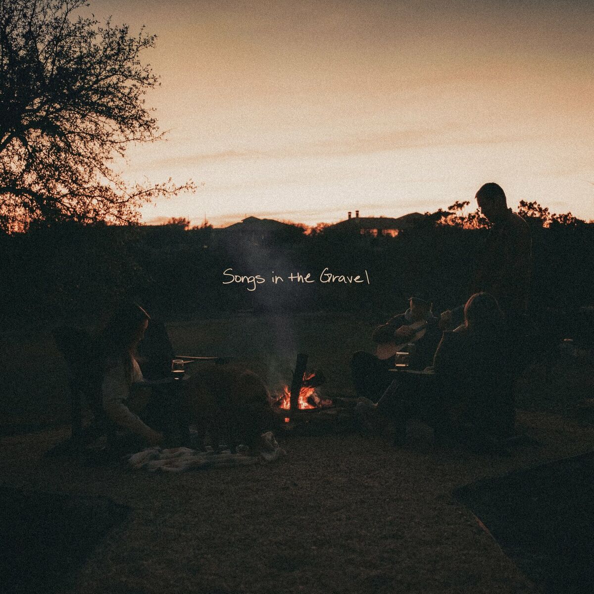 Album cover of If I Had a Lover