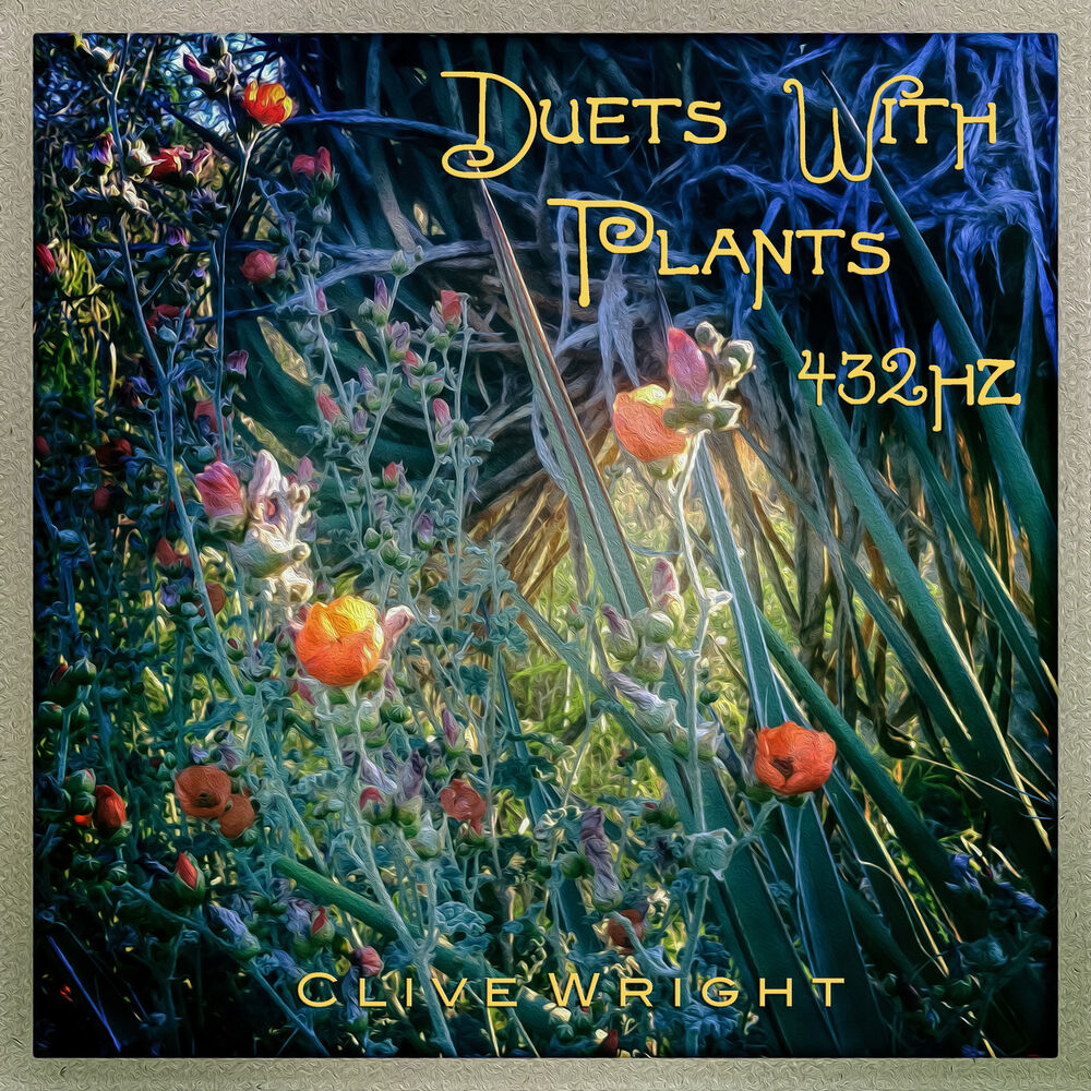 Picture of Duets with Plants