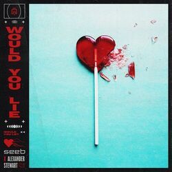 Cover of Would You Lie