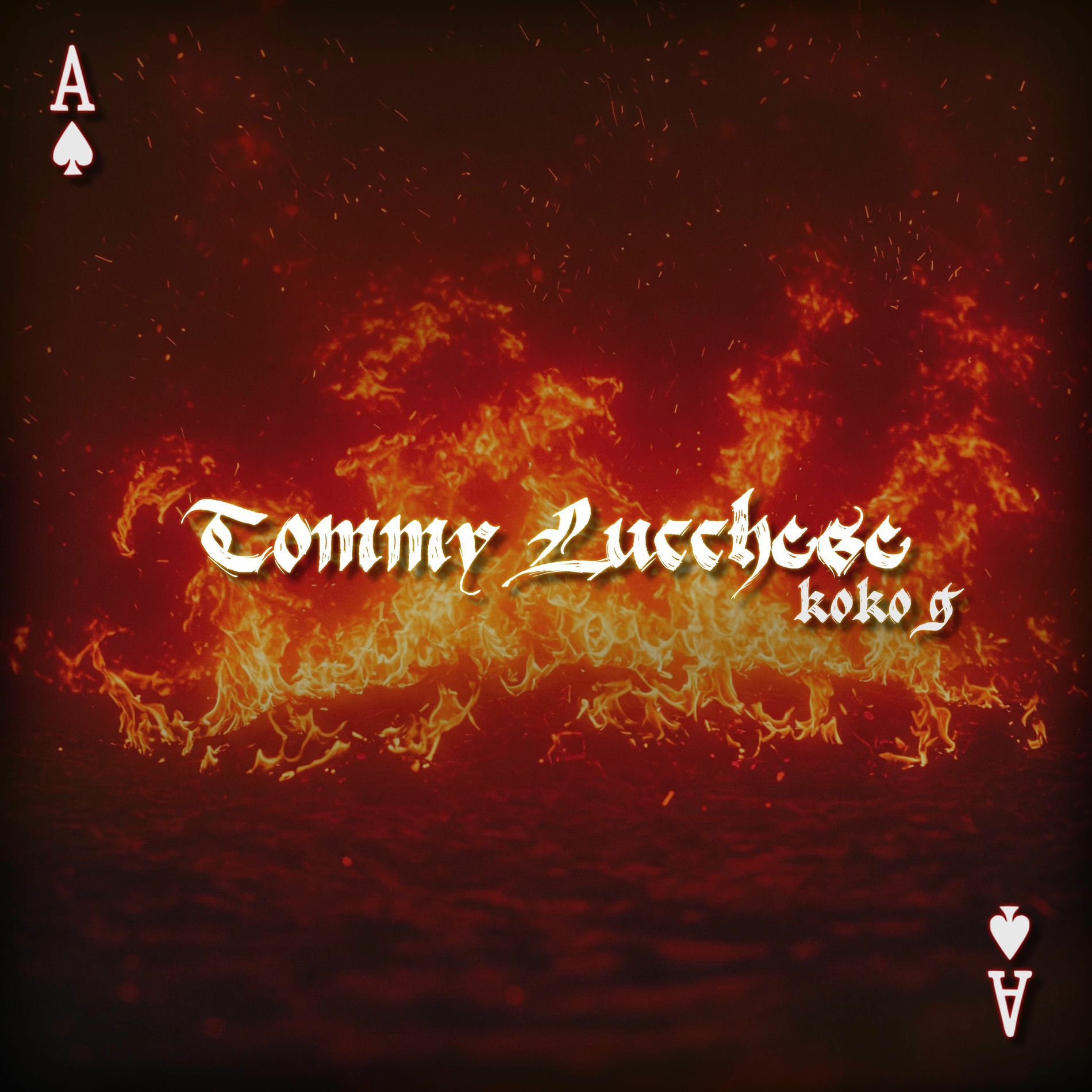 Album cover of TOMMY LUCCHESE