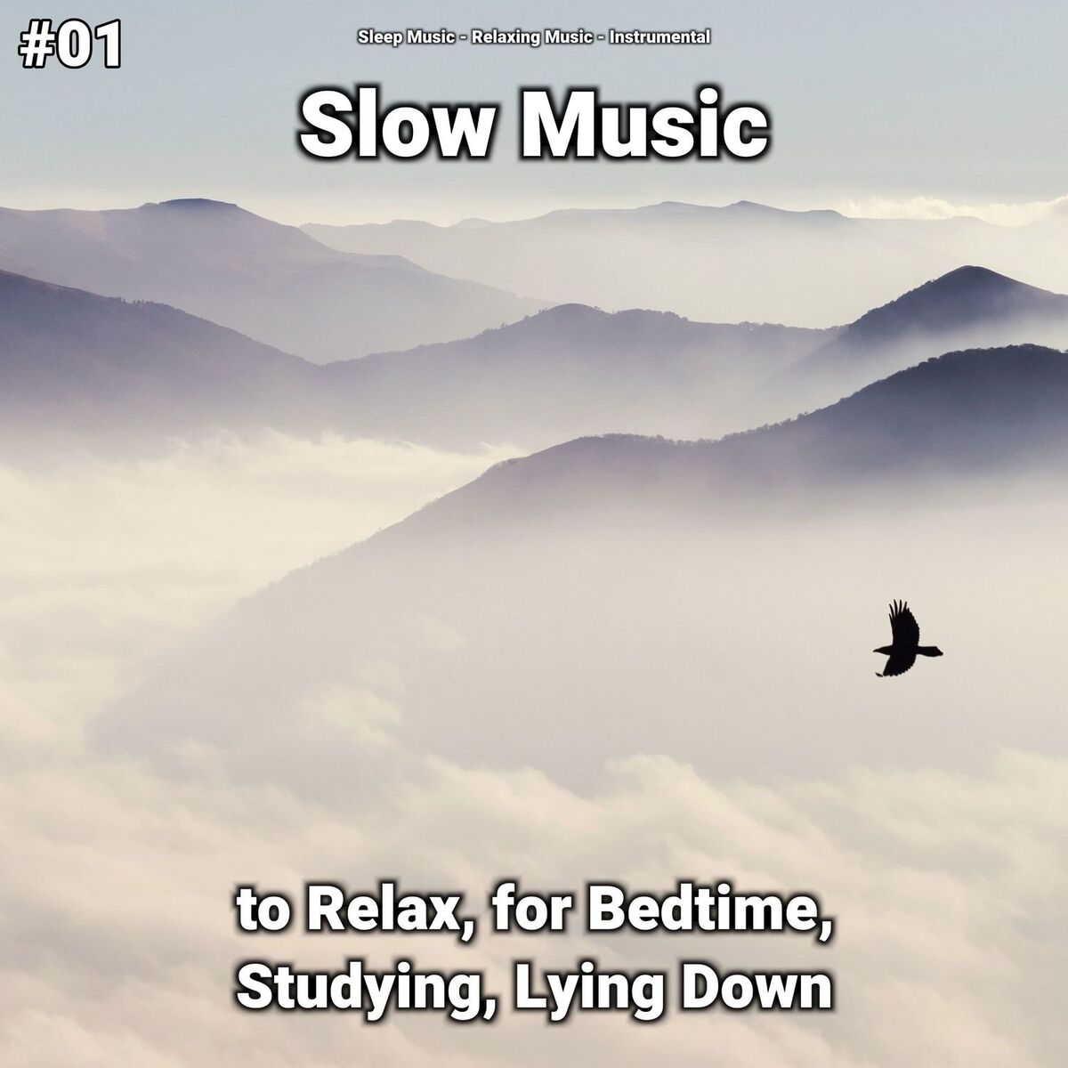 Album cover of Sleep Music