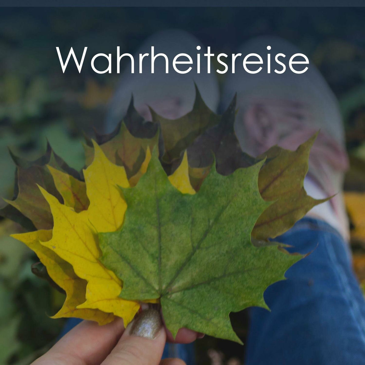 Album cover of Wahrheitsreise