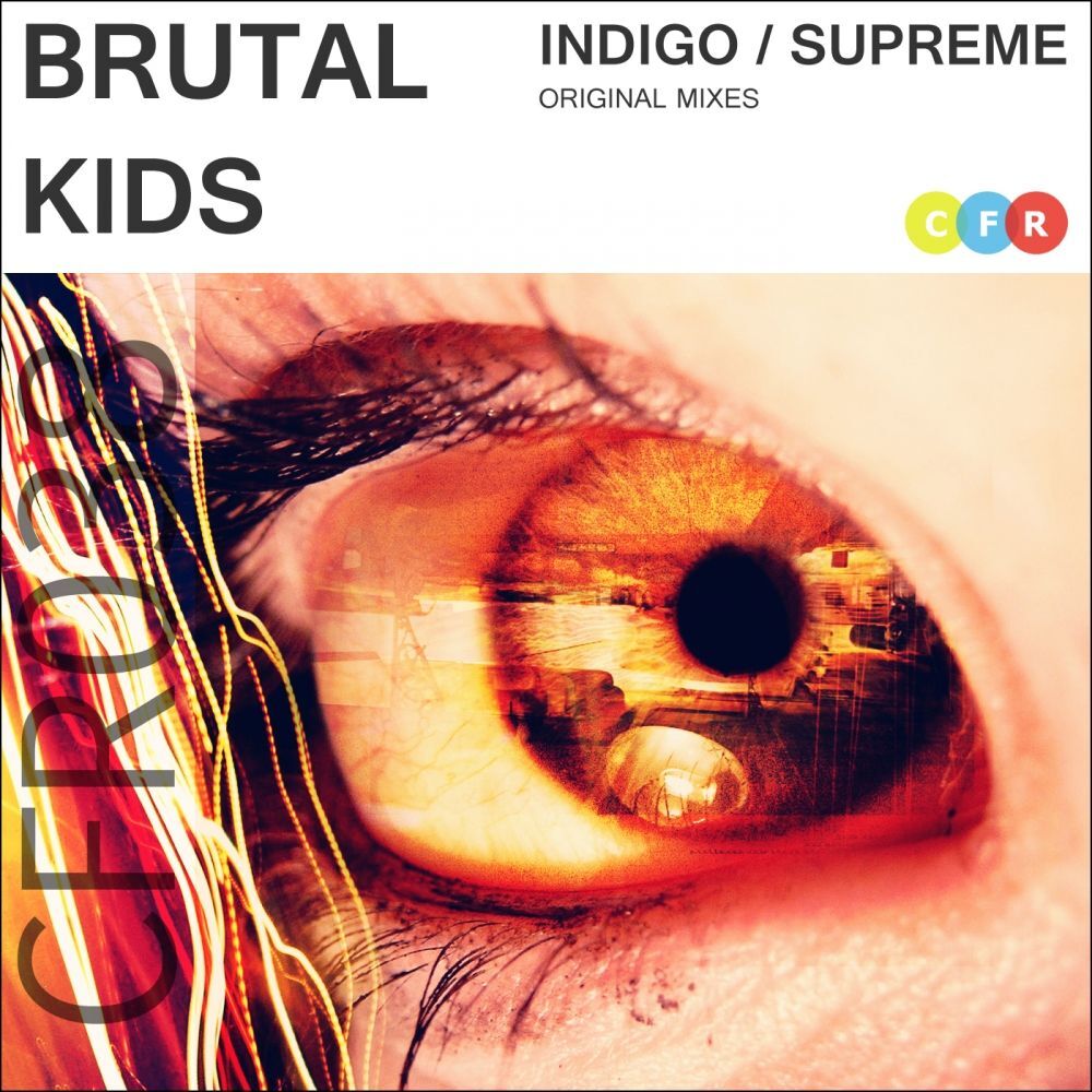 Picture of Indigo / Supreme