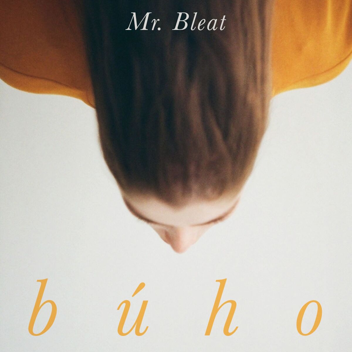 Album cover of Búho