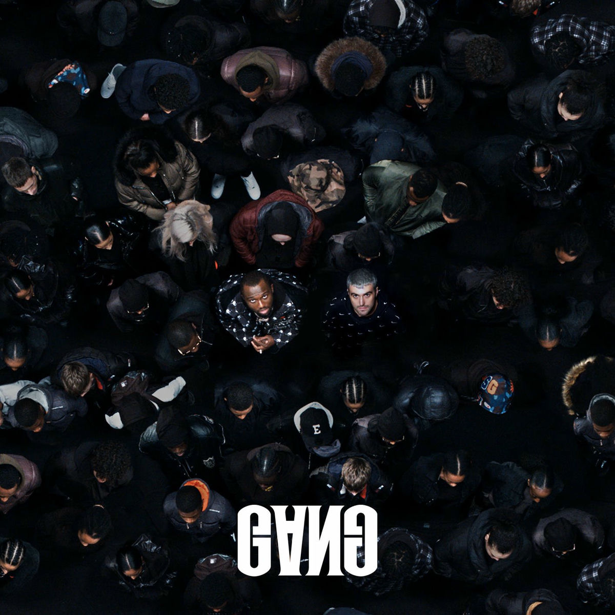 Album picture of GANG