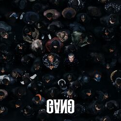 Cover of GANG