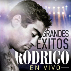 Cover of Grandes Exitos (En Vivo)