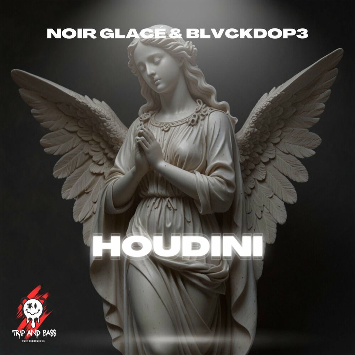 Album cover of Houdini - AFRO HOUSE