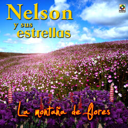 Cover of La Montaña De Flores