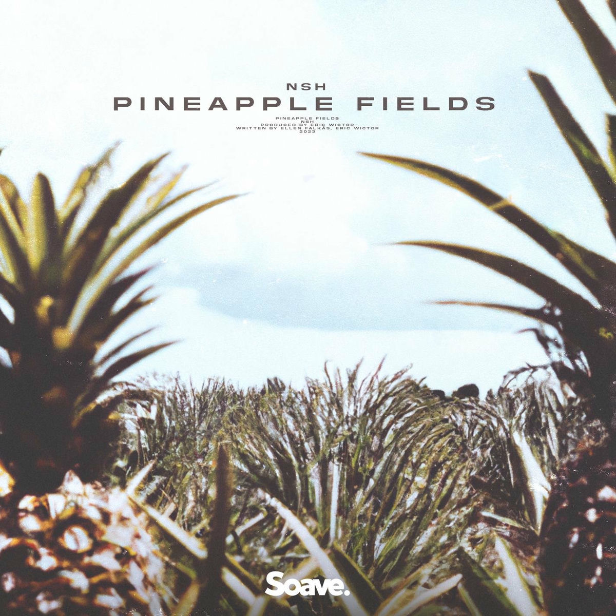 Album cover of Pineapple Fields