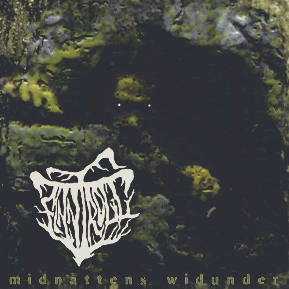 Picture of Midnattens Widunder