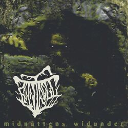 Cover of Midnattens Widunder