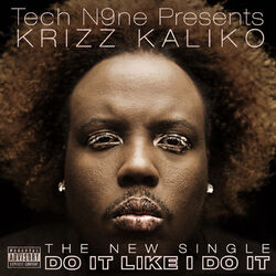 Cover of Do It Like I Do It