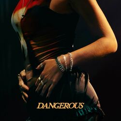 Cover of Dangerous